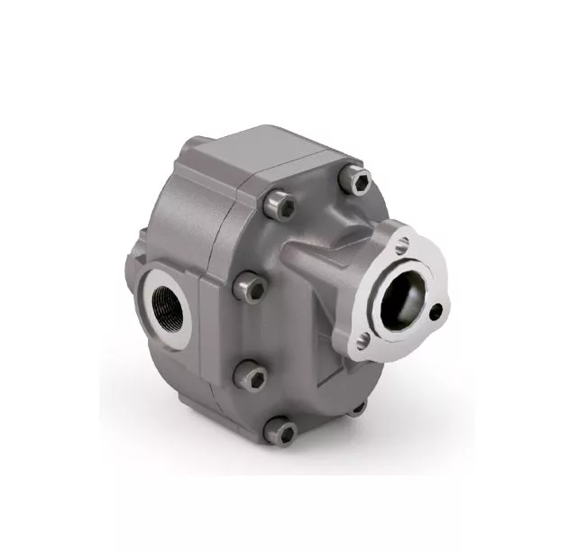 ЗЪБНА ПОМПА FZH 100cc UNI